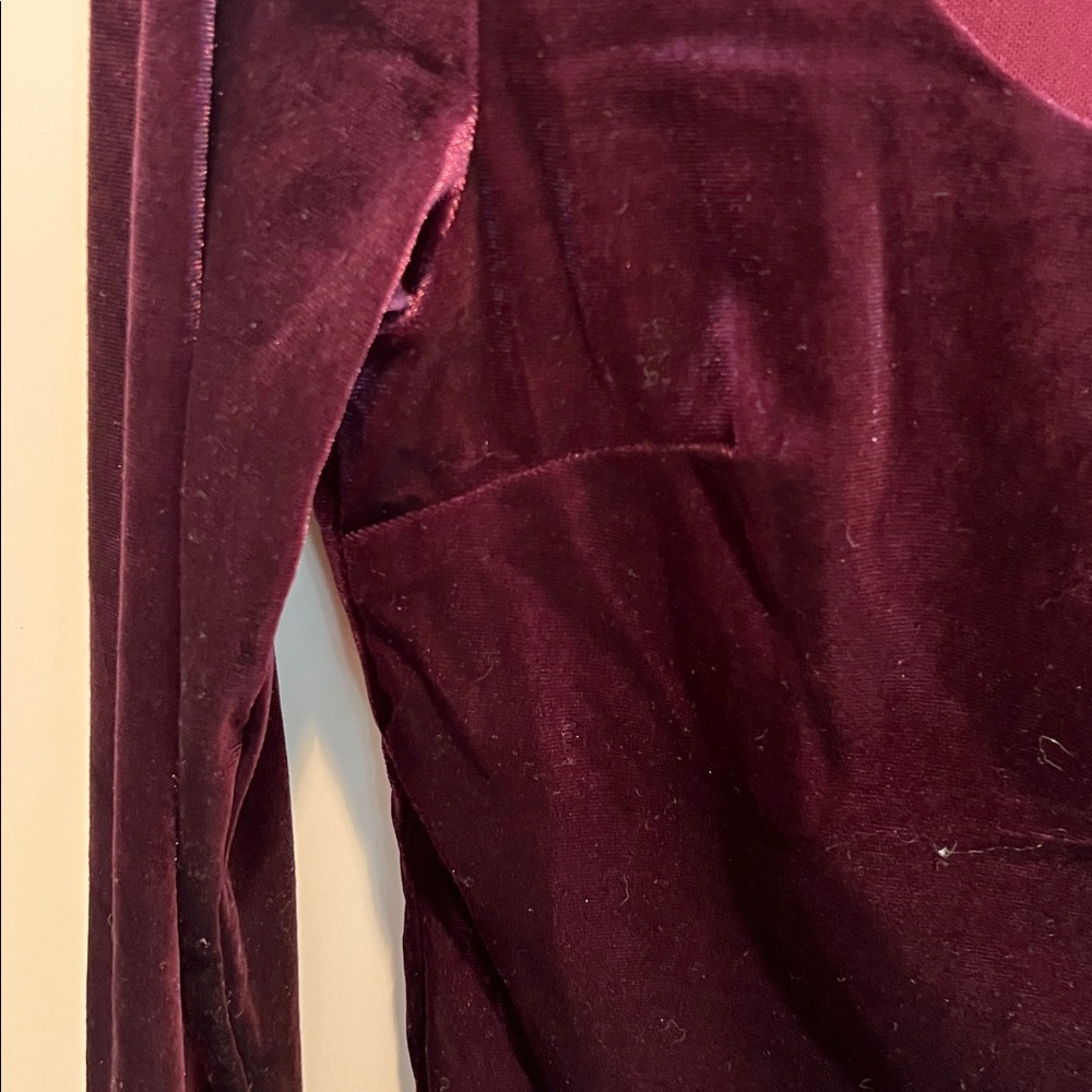 Aritzia Burgundy Velvet Crop Top cropped small eggplant colour